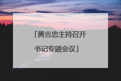 黄喜忠主持召开书记专题会议