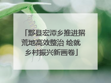 黟县宏潭乡推进撂荒地高效整治 绘就乡村振兴新画卷