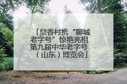鼎香村携“聊城老字号”惊艳亮相第九届中华老字号（山东）博览会