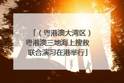 （粤港澳大湾区）粤港澳三地海上搜救联合演习在港举行