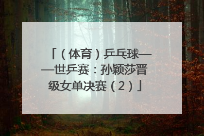 （体育）乒乓球——世乒赛：孙颖莎晋级女单决赛（2）
