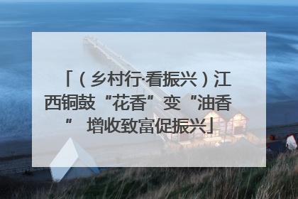 （乡村行·看振兴）江西铜鼓“花香”变“油香” 增收致富促振兴