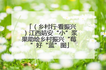 （乡村行·看振兴）江西靖安“小”浆果助绘乡村振兴“莓”好“蓝”图