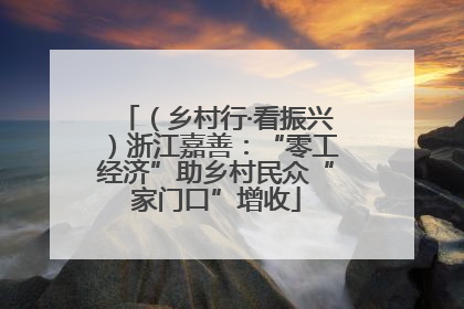 （乡村行·看振兴）浙江嘉善：“零工经济”助乡村民众“家门口”增收