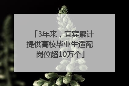 3年来，宜宾累计提供高校毕业生适配岗位超10万个