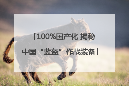 100%国产化 揭秘中国“蓝盔”作战装备
