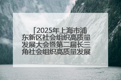 2025年上海市浦东新区社会组织高质量发展大会暨第二届长三角社会组织高质量发展峰会成功举办