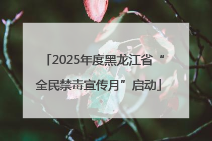 2025年度黑龙江省“全民禁毒宣传月”启动