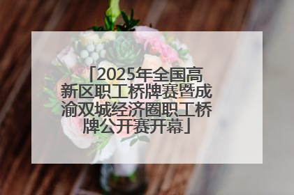 2025年全国高新区职工桥牌赛暨成渝双城经济圈职工桥牌公开赛开幕