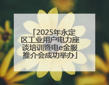 2025年永定区工业用户电力座谈培训暨电e金服推介会成功举办