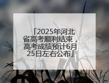 2025年河北省高考顺利结束，高考成绩预计6月25日左右公布