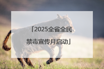 2025全省全民禁毒宣传月启动