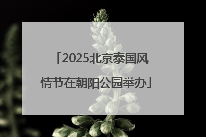 2025北京泰国风情节在朝阳公园举办