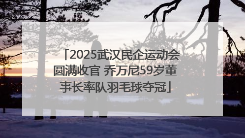 2025武汉民企运动会圆满收官 乔万尼59岁董事长率队羽毛球夺冠