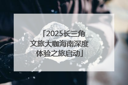 2025长三角文旅大咖海南深度体验之旅启动