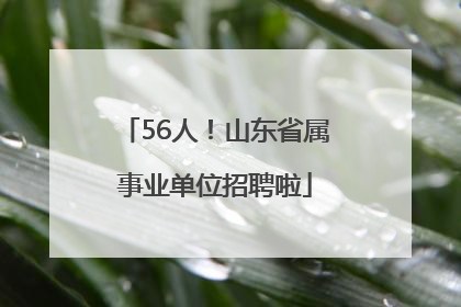 56人！山东省属事业单位招聘啦