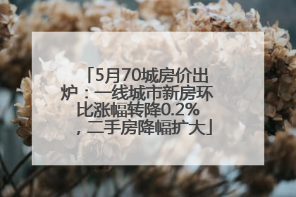 5月70城房价出炉：一线城市新房环比涨幅转降0.2%，二手房降幅扩大
