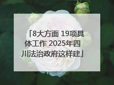 8大方面 19项具体工作 2025年四川法治政府这样建
