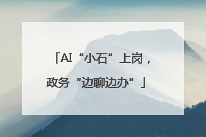 AI“小石”上岗，政务“边聊边办”